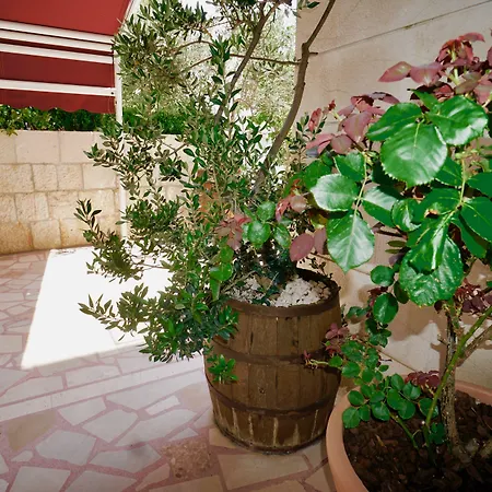 Апартаменты Rustica Dalmatia