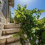 Rustica Dalmatia Apartman *