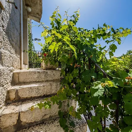 Rustica Dalmatia Apartment *