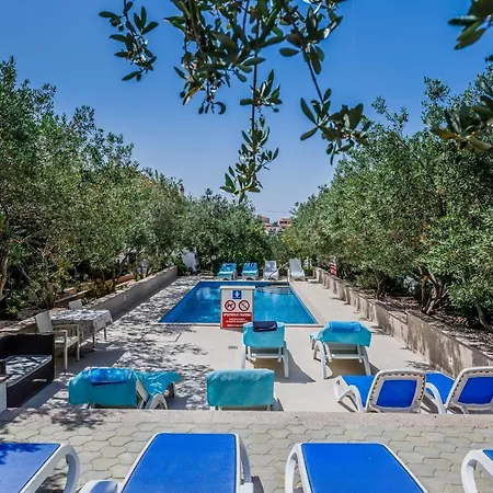 Rustica Dalmatia Seget Vranjica