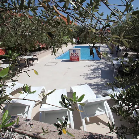 Rustica Dalmatia *