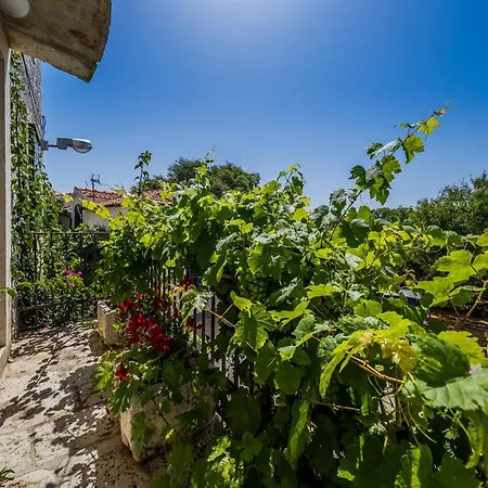 Rustica Dalmatia Seget Vranjica