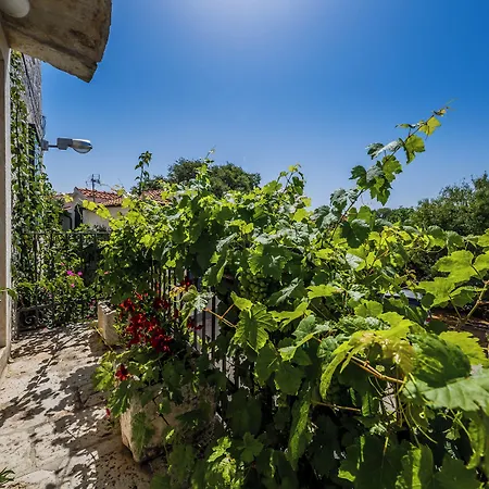 Rustica Dalmatia Апартаменти *