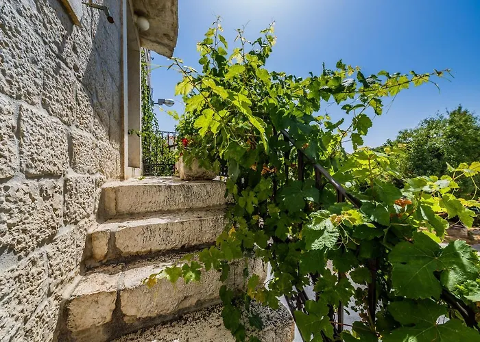 Rustica Dalmatia Apartamento *