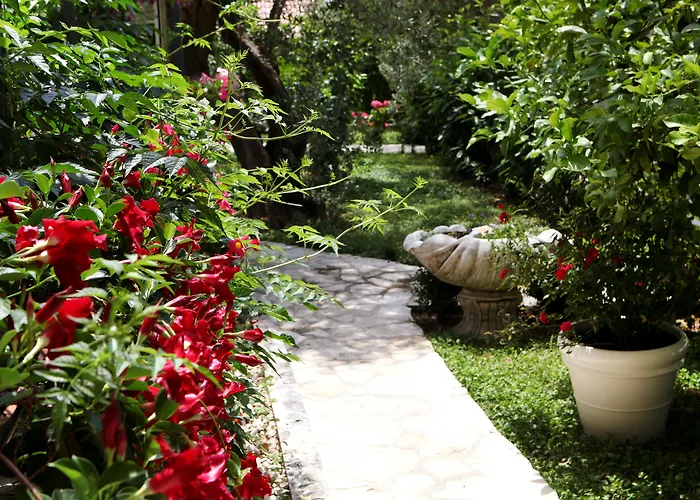 黄花达尔马提亚公寓 公寓 *